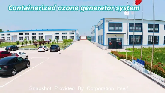 40hq, 20gp Containerized Ozone Generator System to Save Space and Cost for Customers